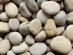 Mexican Beach Pebble Bone